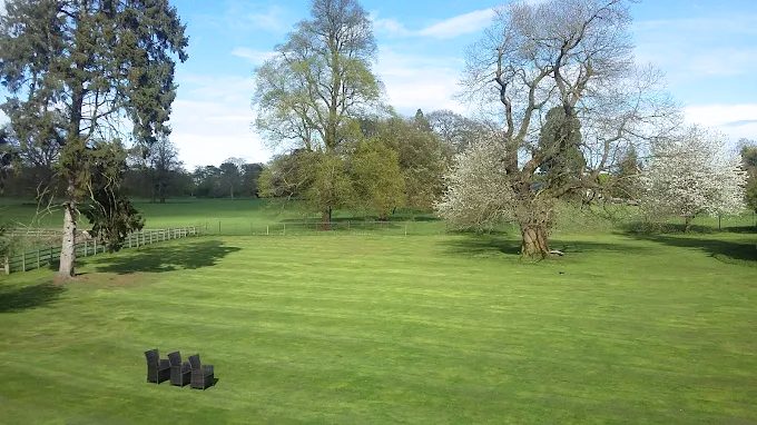 Wide striped lawns and mature trees in the hotel grounds