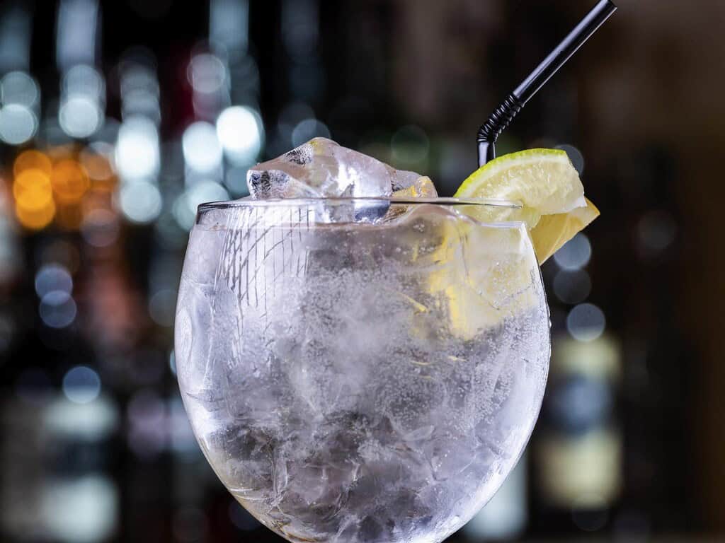 Beautiful gin cocktail with lemon garnish and ice cubes, perfect for relaxing at Brandon Hall Hotel & Spa.